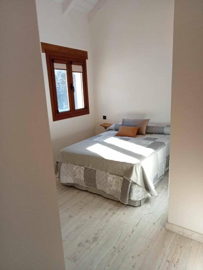 サジェント・デ・ガジェゴ Casitas En Sallent En El Centroヴィラ エクステリア 写真